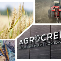 В Казахстане стартовал прием заявок на страхование посевных площадей от избытка влаги в почве