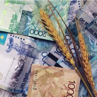 Форвардный закуп: Минсельхоз Казахстана планирует увеличить льготное финансирование аграриев 