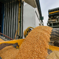 Дополнительная тарифная квота на вывоз зерна из России увеличена на 5 млн. тонн