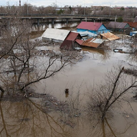 В Оренбуржье затоплены более 6 тыс. га озимых зерновых культур и 6,5 тыс. га теплиц