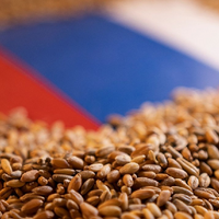 Прогноз по сбору зерна в России пересмотрен. Каким будет новый урожай и цены?