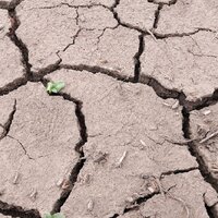 Синоптики прогнозируют засушливый май в Кызылординской области