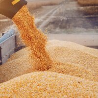 Казахстан: в текущем сезоне импорт зерна из России снизится с 1,5 млн. до 700 тыс. тонн — конференция Зернового союза