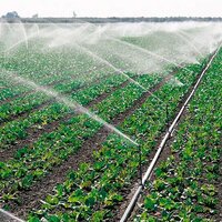 Эффект капли: в Туркестанской области урожайность сельхозкультур на землях с дождевальным орошением выросла в 4 раза