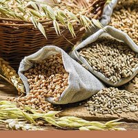 Турция обнулила пошлины на импорт пшеницы, ячменя, кукурузы до конца года