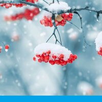 Казгидромет: зима в Казахстане ожидается по сценарию прошлого года — теплой и богатой на осадки