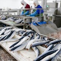 Минсельхоз РК: китайские эксперты дали «добро» на поставку рыбной продукции в Поднебесную еще двум казахстанским предприятиям