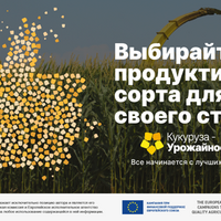 Выбирайте продуктивные сорта для своего стада