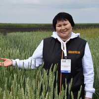 От спутников до севооборота