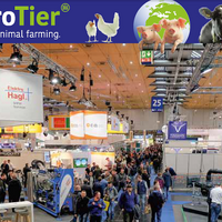 Выставка EuroTier 2022: животноводство в эпоху трансформации