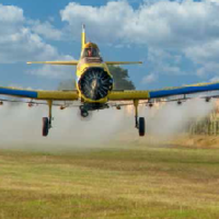 Возрождение сельхозавиации: какой самолет прилетит на смену «кукурузнику»