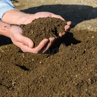 Как сохранить плодородие почв