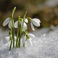 Синоптики рассказали, какая погода ожидает казахстанцев в апреле