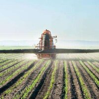 Азотные удобрения на мировом рынке в 2021 году подорожали на 250%