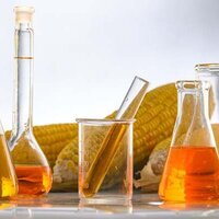 Ученые из Казахстана создали биотопливо из использованного растительного масла