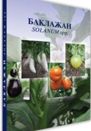 Баклажан