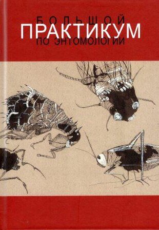 Большой практикум по энтомологии: Учебное пособие.