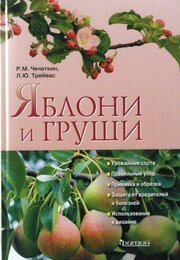 Яблони и груши