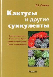 Кактусы и другие суккуленты