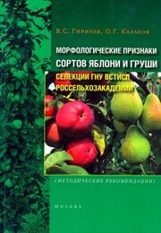 Морфологические признаки сортов яблони и груши