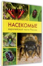 Насекомые европейской части России