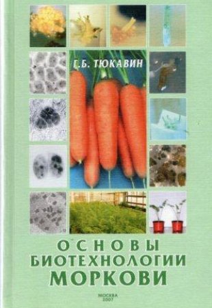 Основы биотехнологии моркови: Монография 