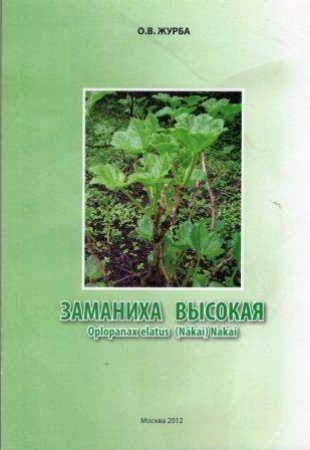 Заманиха высокая.