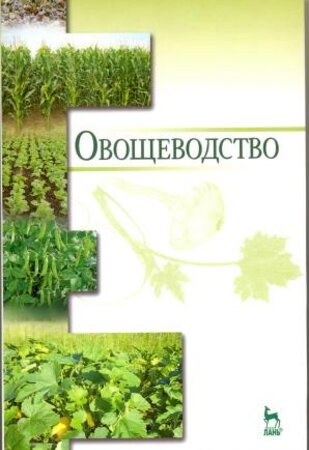 Овощеводство