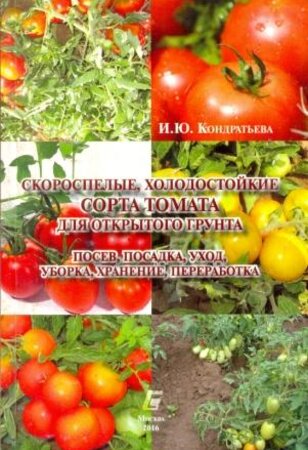 Скороспелые, холодостойкие сорта томата для открытого грунта посев, посадка, уход, хранение, переработка.