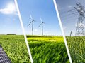 Россия собрала 120 млн тонн зерна, из них более 90 млн тонн пшеницы