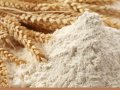 Экспорт казахстанской кормовой муки в Китай может достичь 2,5 млн тонн в новом сезоне
