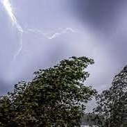 Дожди с грозами ожидают казахстанцев в ближайшие дни