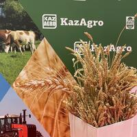 В Астане с 12 по 14 октября пройдёт выставка «KazAgro/KazFarm-2022»