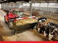 В Казахстане завершается заготовка кормов для зимовки скота