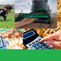 Для казахстанских сельхозкооперативов предусмотрена 70% льгота по всем налогам и доступно кредитование по ставке 6% на срок до 7 лет 