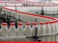 В Казахстане разрабатывают инновационный молочный напиток на основе наурыз көже