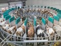 Самообеспеченность продуктами в Казахстане превышает 80%