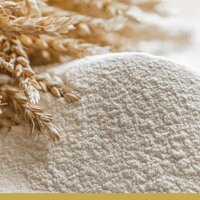 Ограничения на экспорт муки и зерна сняли в Казахстане