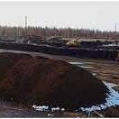 В Северо-Казахстанской области запустили переработку навоза в удобрения