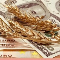 Россия с 17 июня повышает экспортную пошлину на пшеницу до 33,3 доллара за тонну