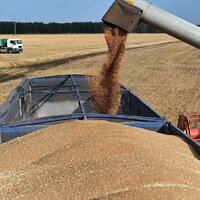 На границе Омской области усиливается контроль за вывозом пшеницы