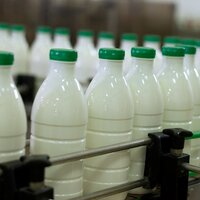 Во сколько обойдется казахстанским производителям молочной продукции маркировка продукции? 