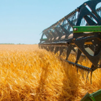 Североказахстанские аграрии завершили уборку урожая-2021, намолотив более 3 млн. тонн зерна