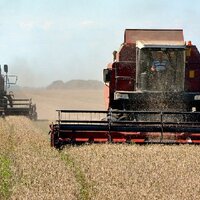Впервые за 30 лет павлодарские хлеборобы намерены собрать более миллиона тонн зерновых культур