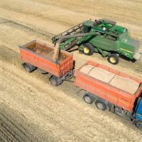 Россия: в Алтайском крае пресечен незаконный вывоз пшеницы и ячменя в Казахстан и Киргизию