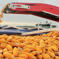 USDA увеличил прогноз мирового производства и запасов кукурузы, что привело к падению цен