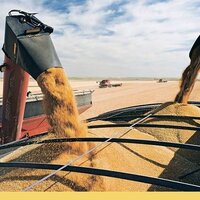 Минсельхоз: казахстанские аграрии на 14 сентября намолотили 11,7 млн. тонн зерна 
