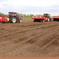 В Карагандинской области зерновые площади увеличены на 40 тыс. га, больше будет высажено картофеля и овощей