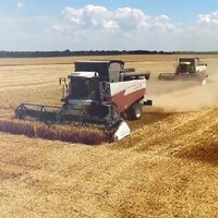 МСХ: в Казахстане на середину сентября убрано 83,3 % уборочной площади зерновых и зернобобовых культур 