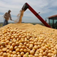 Импорт удобрений в Бразилию вырос за месяц на 18,6% — это самый высокий уровень поставок за пять лет